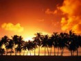 /album/fotogaleria/images-3-jpg/